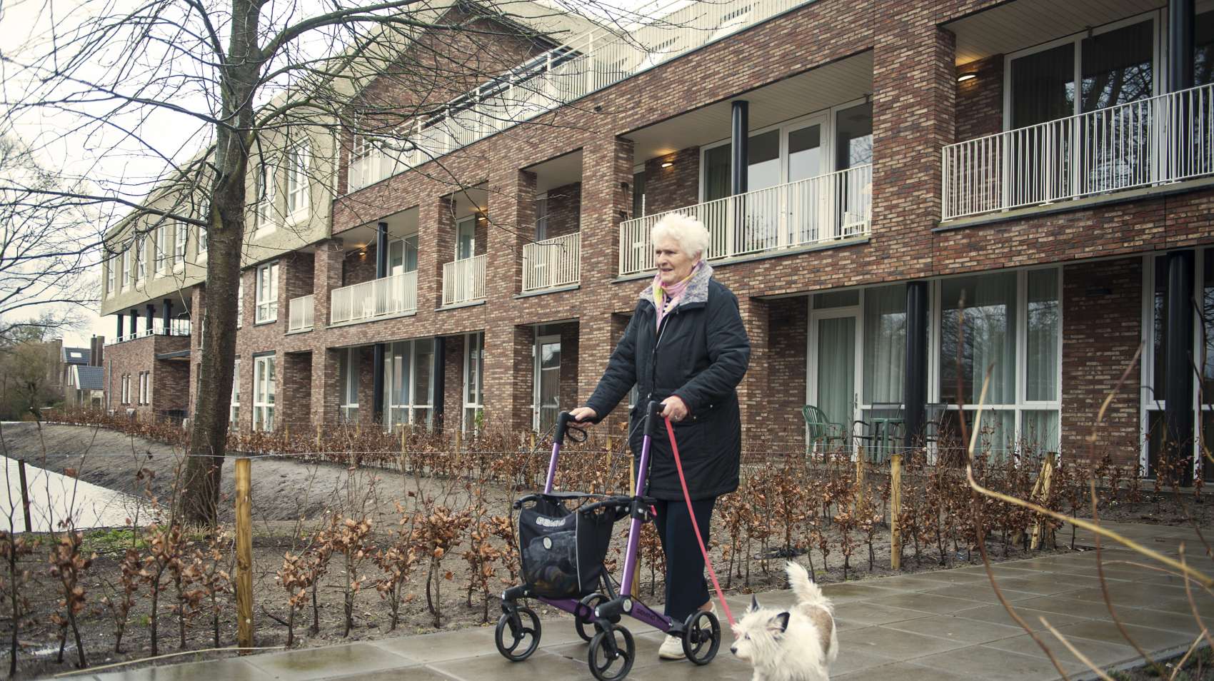 KNGF detectiehonden_17