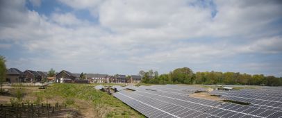 Ook in deze editie -  2