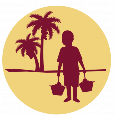 Hoe zit het met ...  palmolie