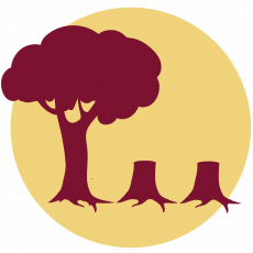 Hoe zit het met ...  palmolie