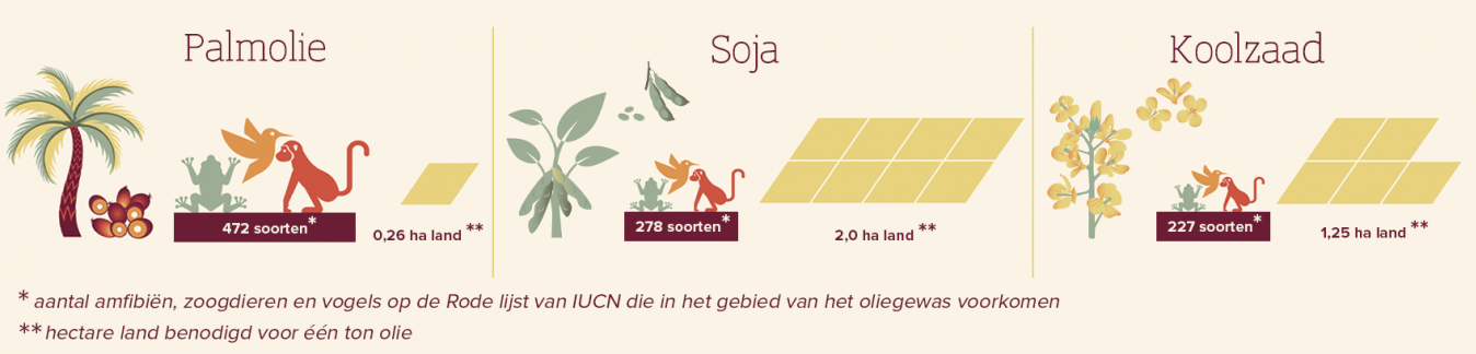 Hoe zit het met ... palmolie - soorten