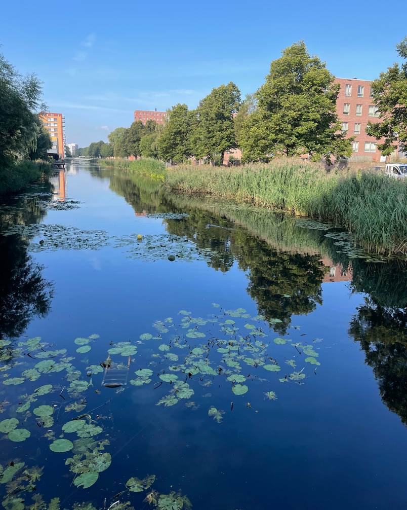 Waterparels - Albardagracht - Amsterdam