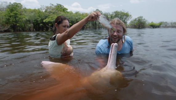 Kort en goed: Beeld: A River Below