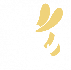 goed gesprek met Tom van de Beek_bijtje