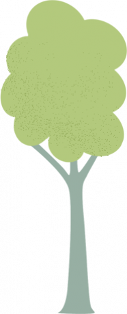 Duurzame fondsen - boom 4