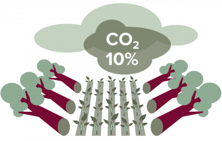 Hoe zit het met: Soja_1542