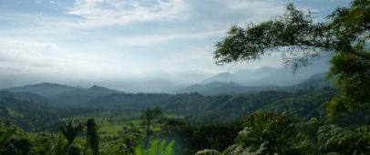 ook in deze editie 1