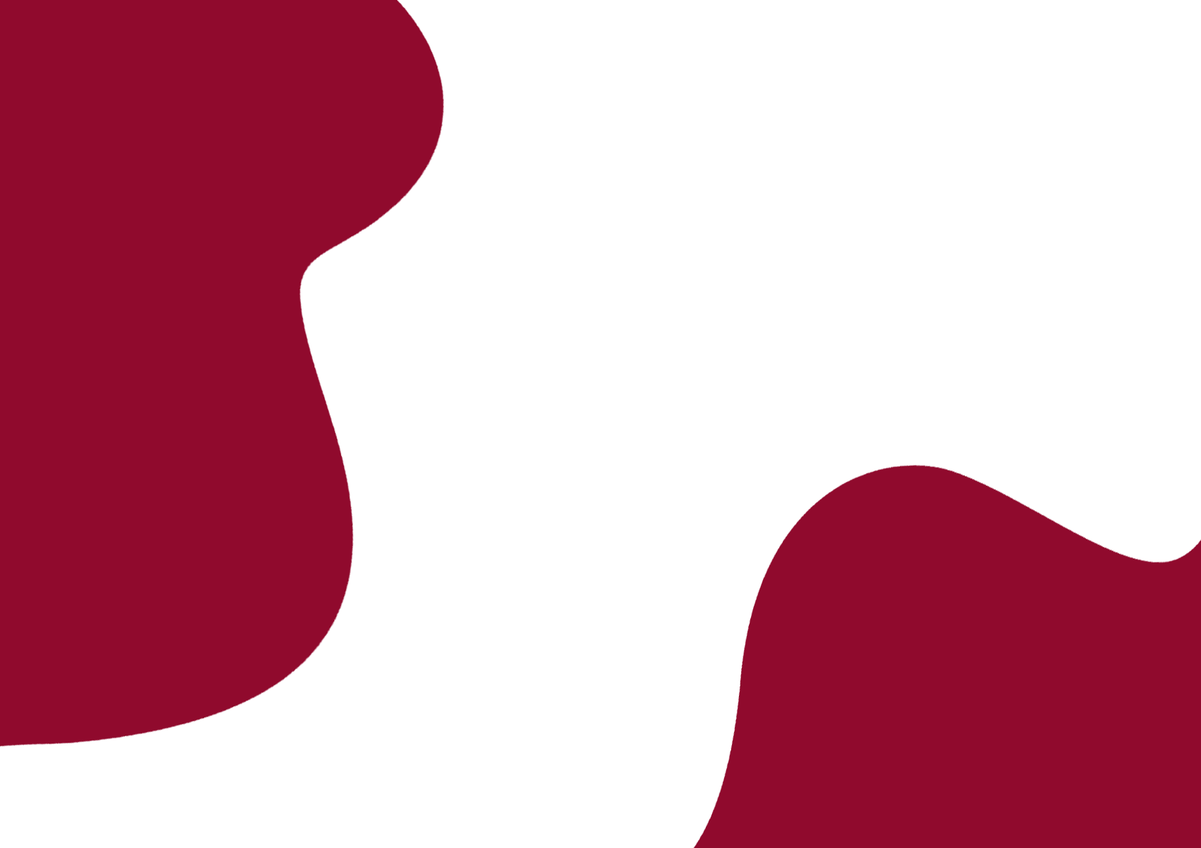 Mensenrechtencampagne_2095