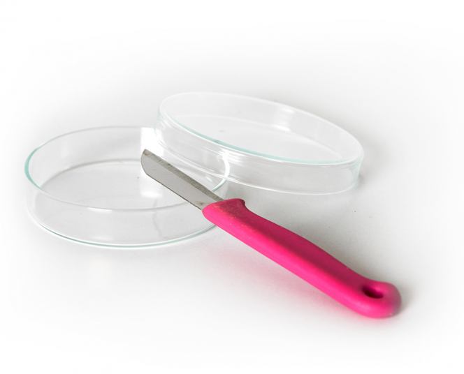 Duurzaam dilemma kweekvlees_1601