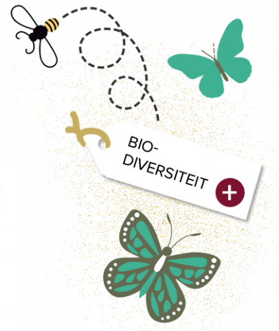 Goed spul: Duurzaam tuinieren_33