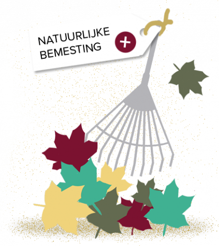 Goed spul: Duurzaam tuinieren - bladeren met hark