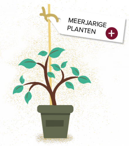 Goed spul: Duurzaam tuinieren_30