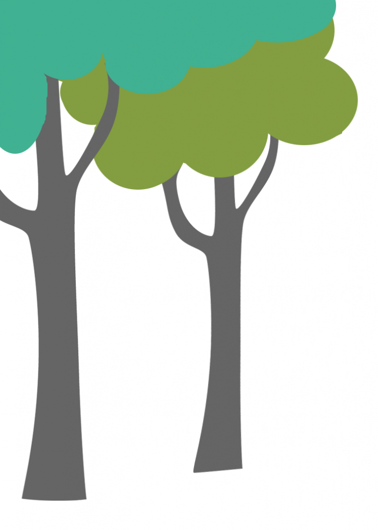 Duurzame fondsen - bos bomen voor