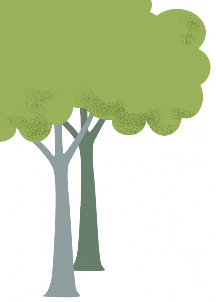 Duurzame fondsen - bos bomen achter