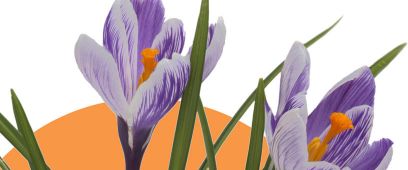 Ook in deze editie - foto 2