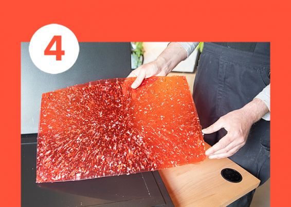 Metamorfose van de digipas 4