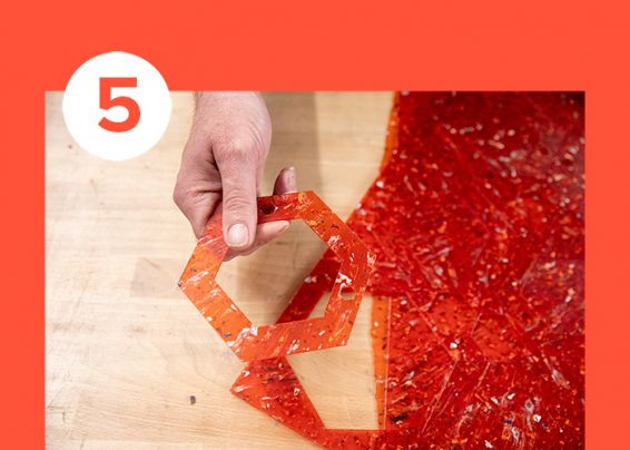 Metamorfose van de digipas 5