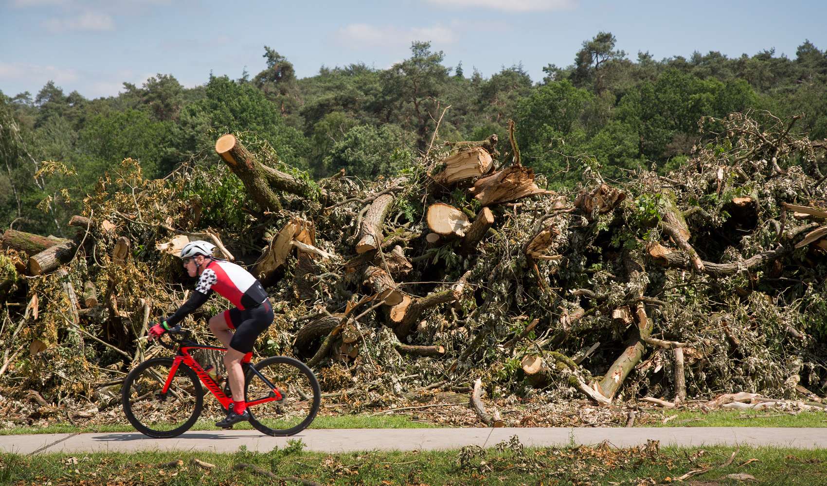 Duurzaam dilemma: Biomassa_1468
