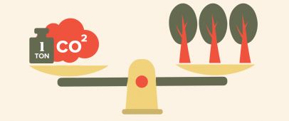 Ook in deze editie - 4