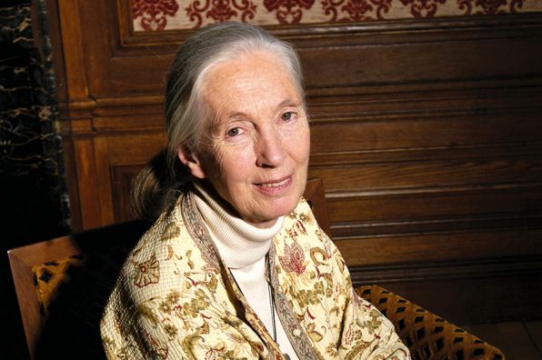 60 jaar ASN Bank ode aan de mens - Jane Goodall