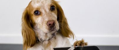 Ook in deze editie - foto 4