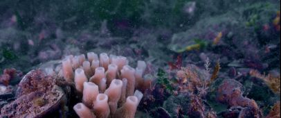 ook in deze editie - foto 1 COPY