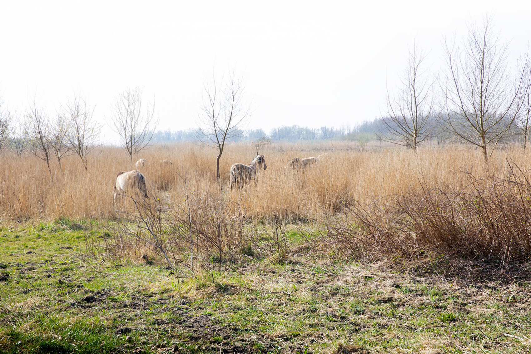 Interview Jessica den Outer