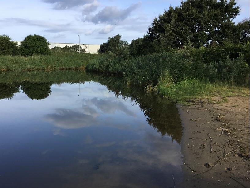 Waterparels - Plesmanweg Beverwijk