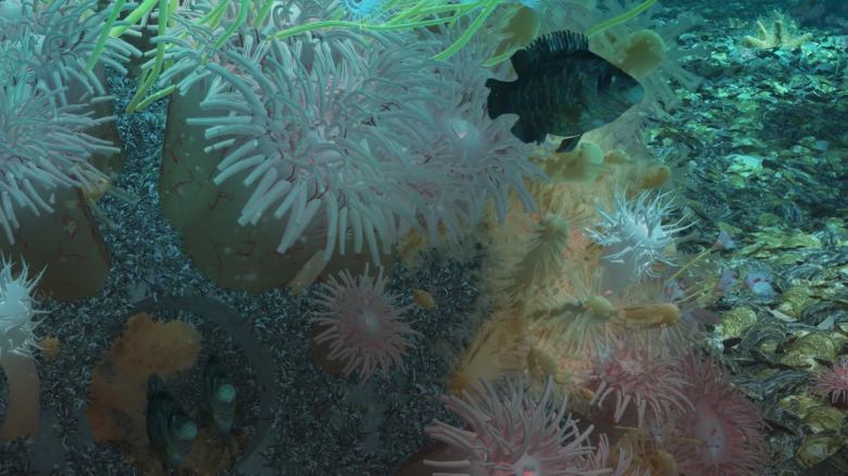Goed gesprek met Noordzee-beschermer Floris van Hest  - video Rijke noordzee