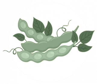 Hoe zit het met: Soja_1537