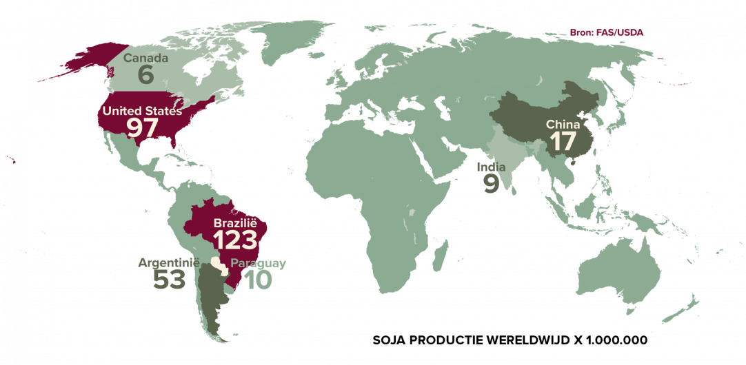Hoe zit het met: Soja_1547