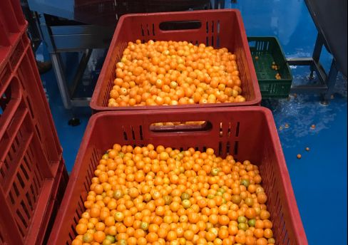 Goed geld - Green for Growth fund