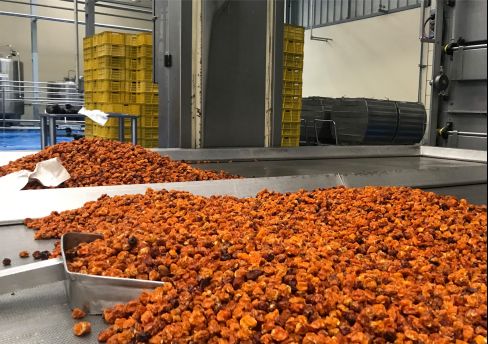 Goed geld - Green for Growth fund