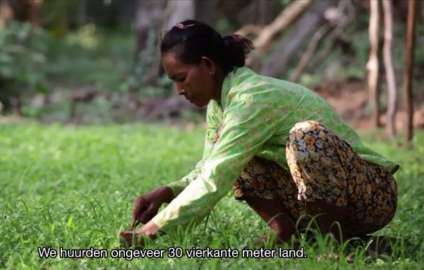 Beleggen Microkrediet_41 - video